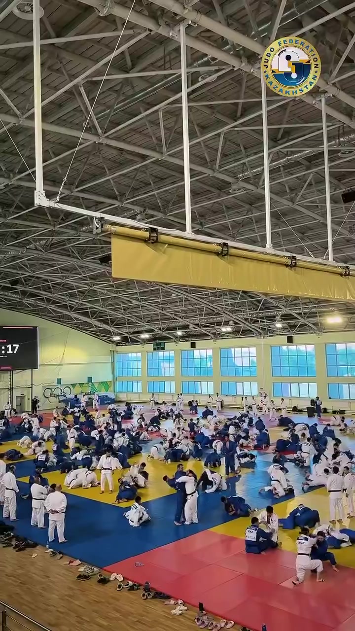 @mir_judo