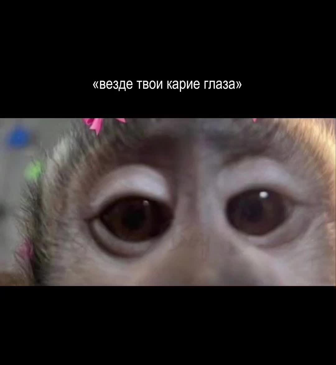 @нелепа