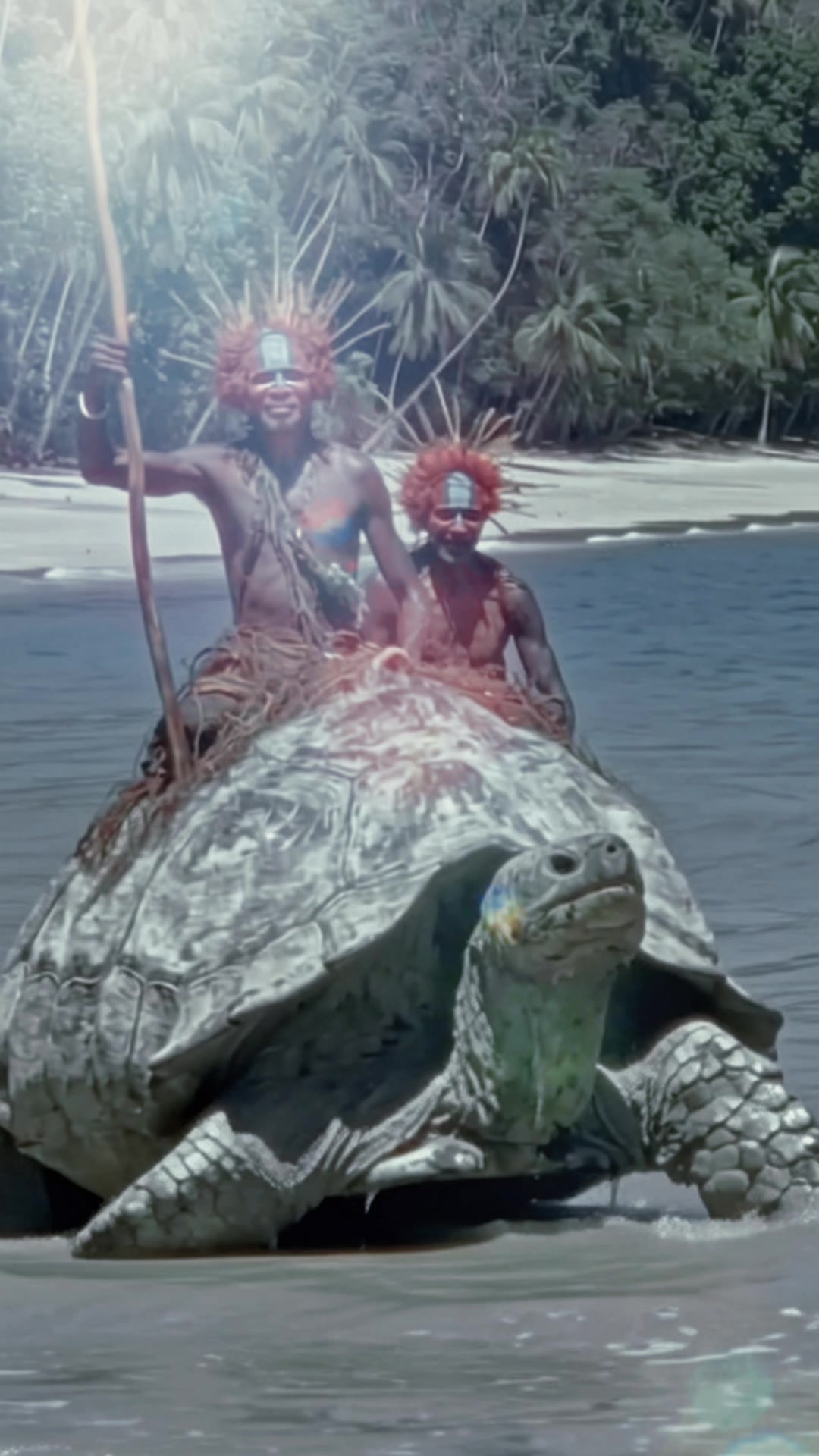 @SwampDiscoveries