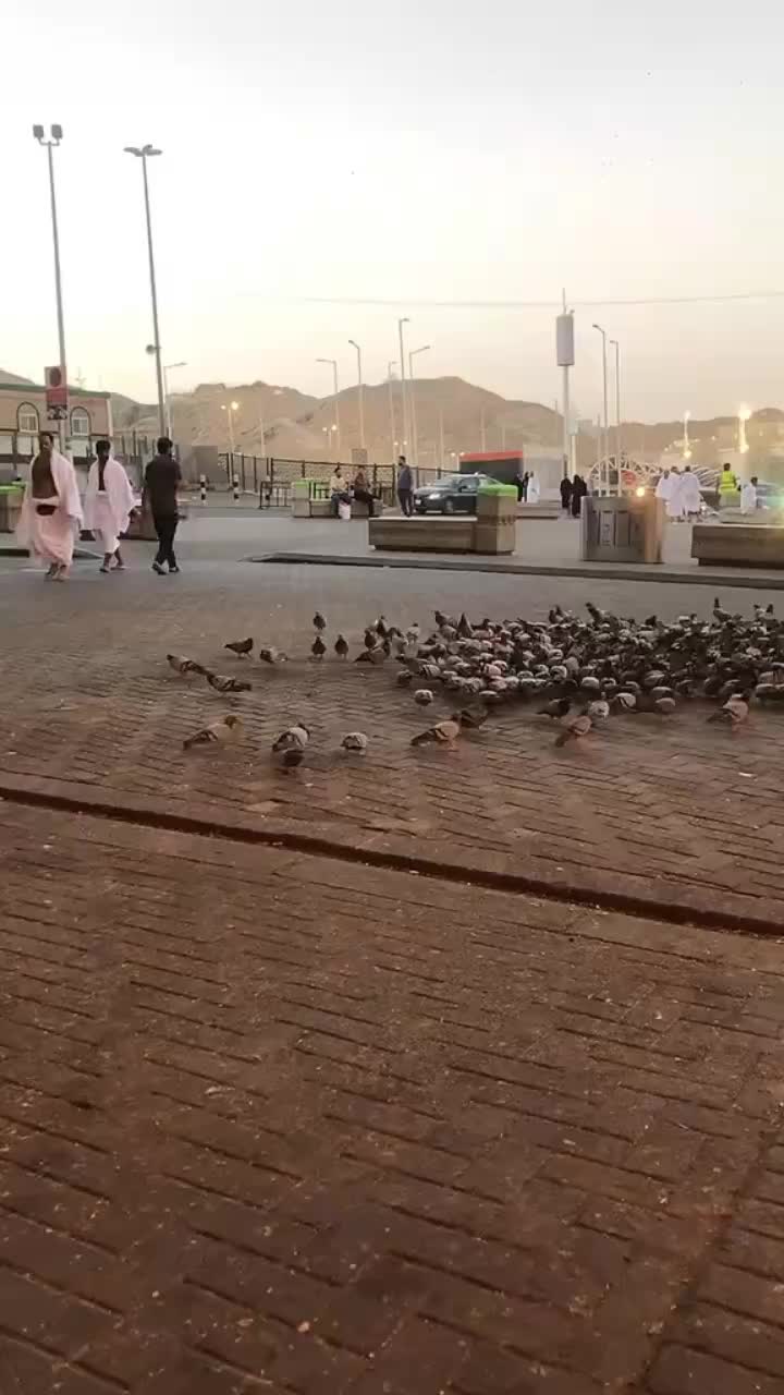@𝑻𝑨𝑳𝑯𝑨𝑹𝑬𝑯𝑴𝑨𝑵🇸🇦🇵🇰