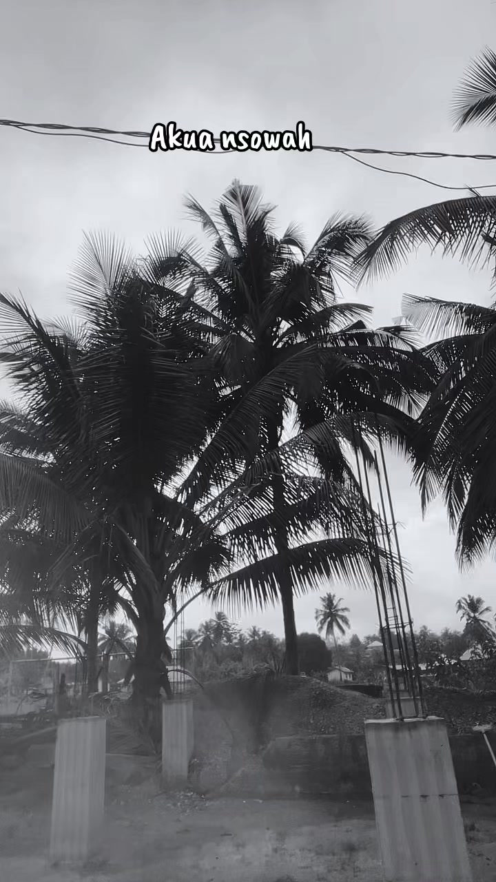 @//TALL _ TRAPPER 🧌🏝️//