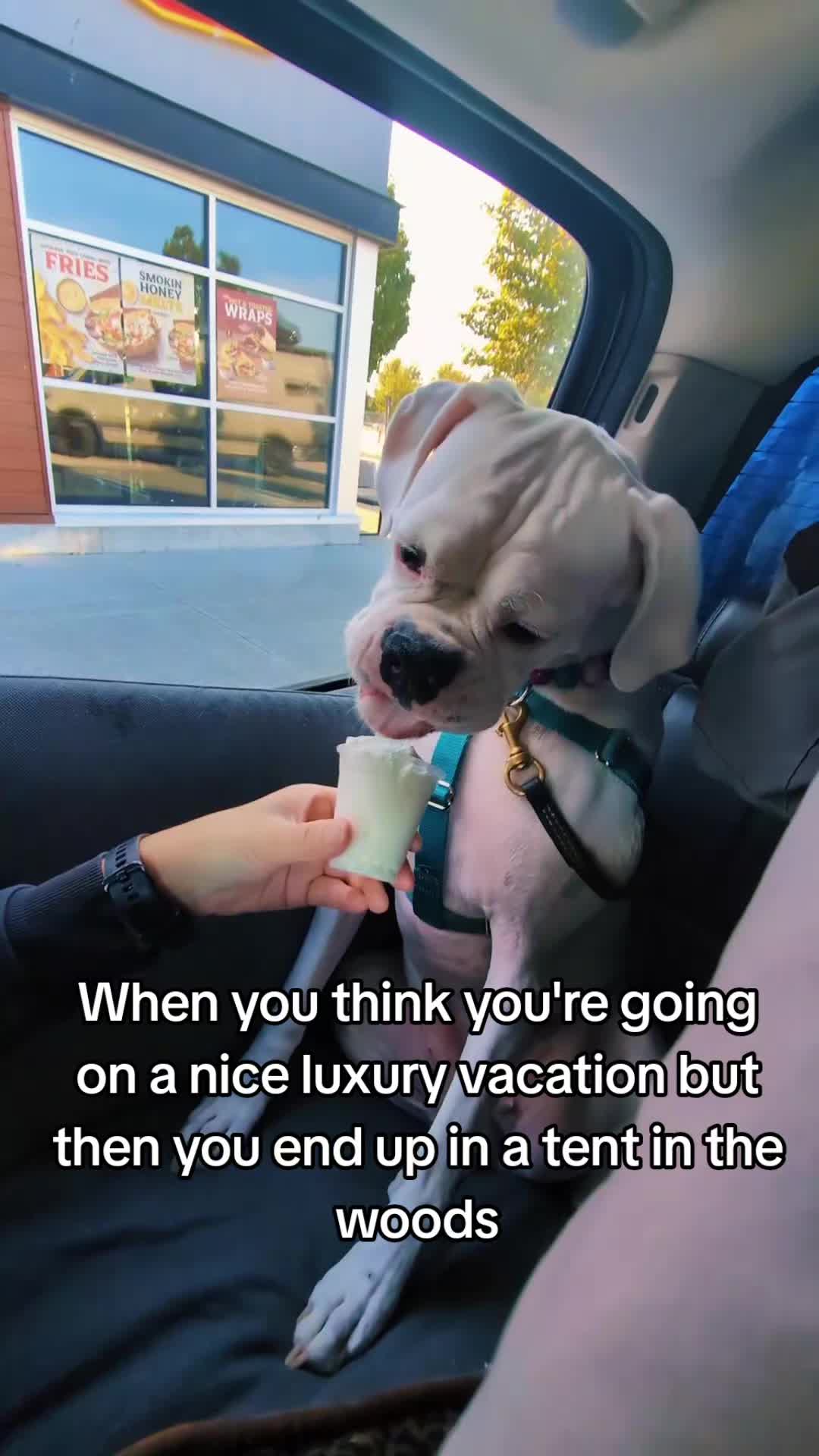 @mattola