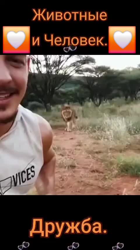 @Марина🤍🕊