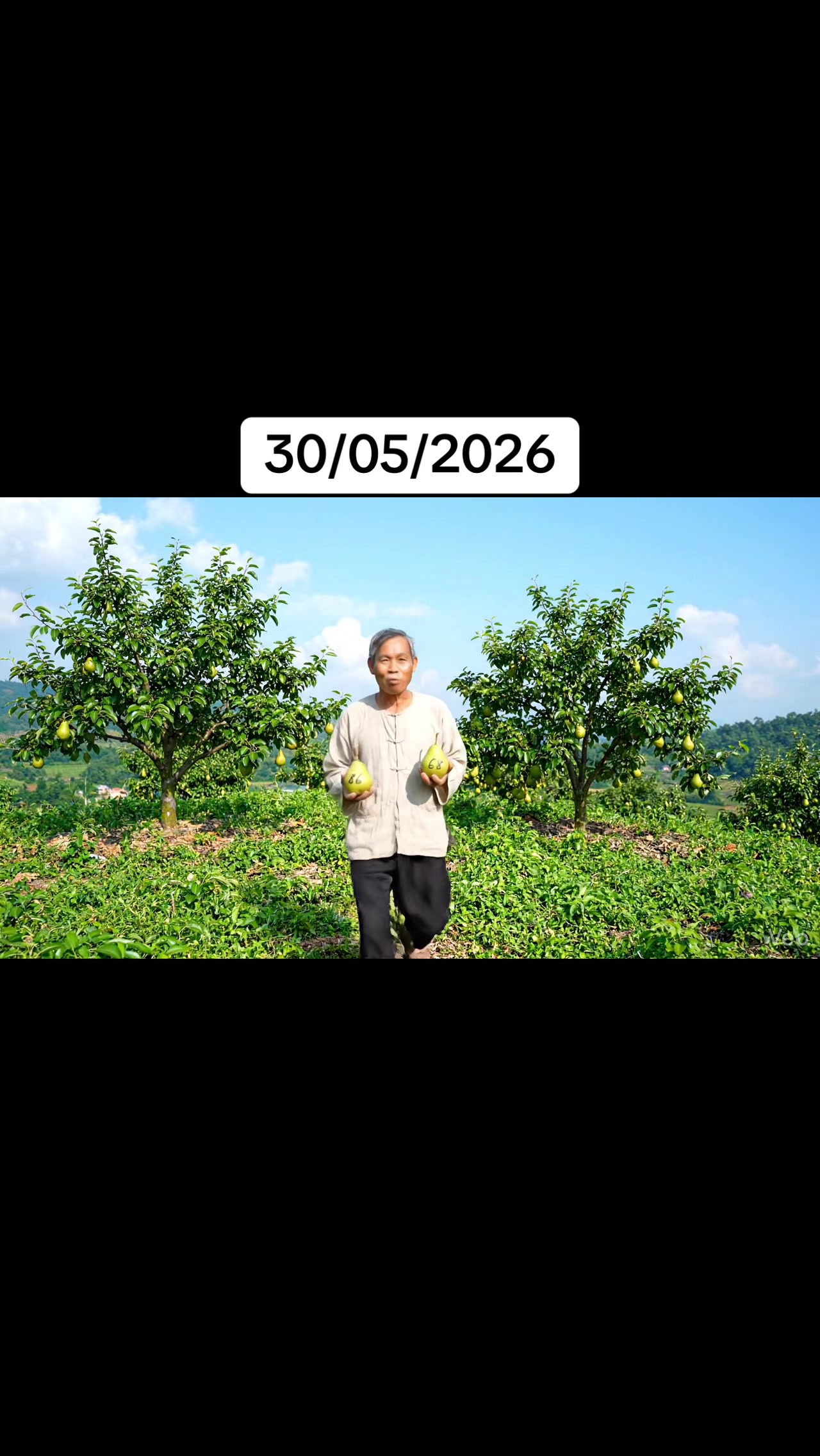 @&ocirc;ng ch&uacute; MB🍐