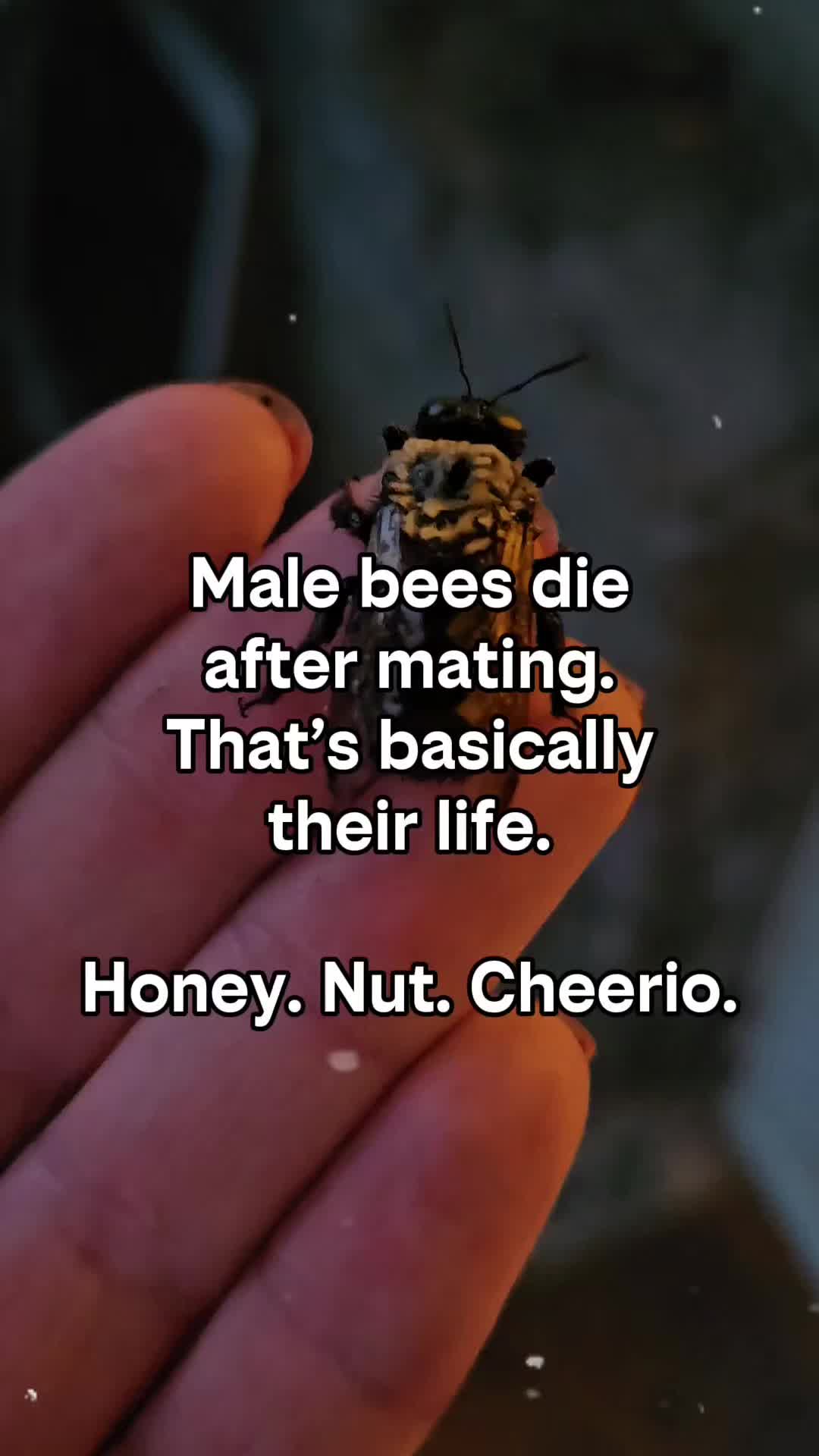 @Erica