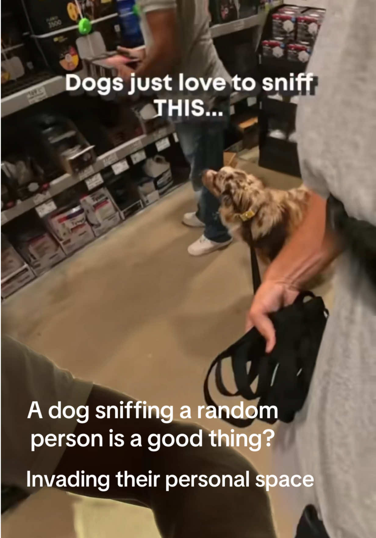 @Dogs aren&rsquo;t Family