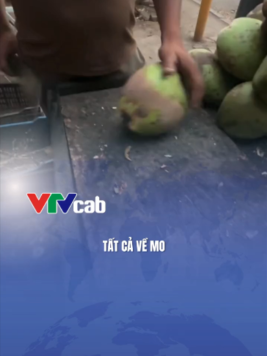 @VTVcab Trending - Giải trí