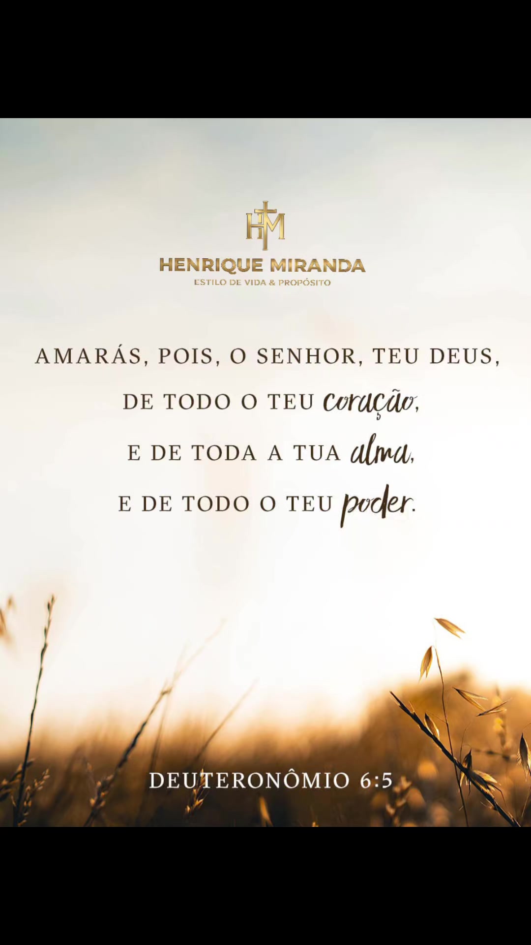 @Henrique Miranda