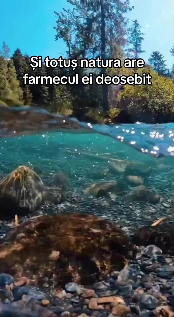 @Angela54
