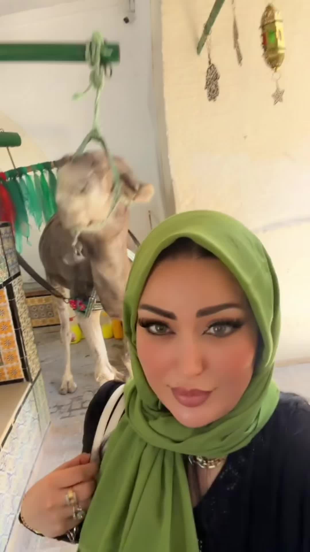 @soltana zouhour