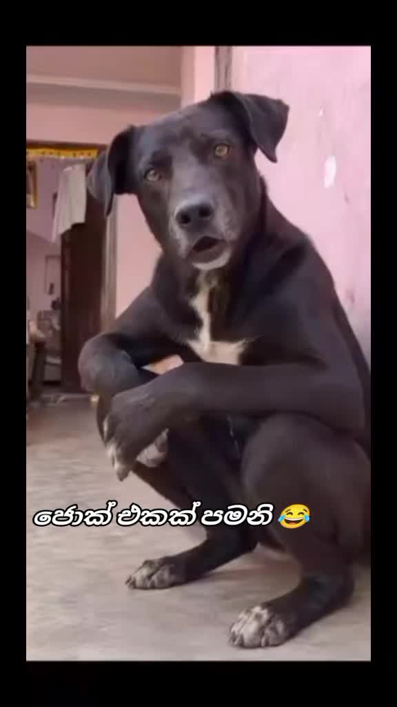 @𒆜 🇱🇰🆂🄻↣පොඩි🤏නිශා🎧🎙𒆜