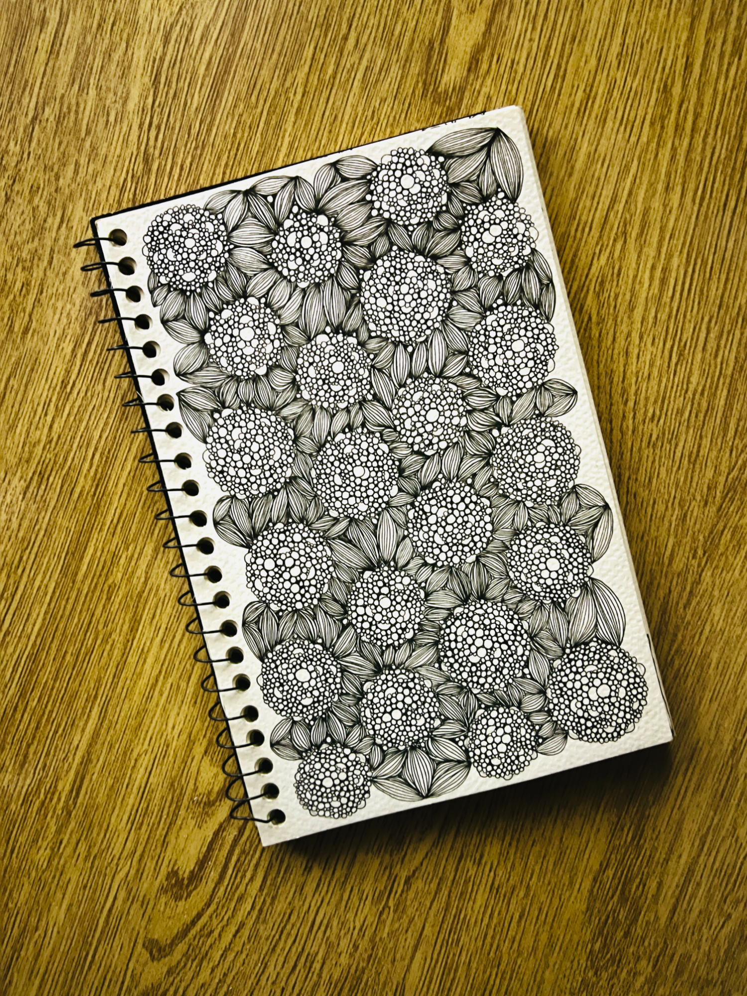 @OP Doodle Art