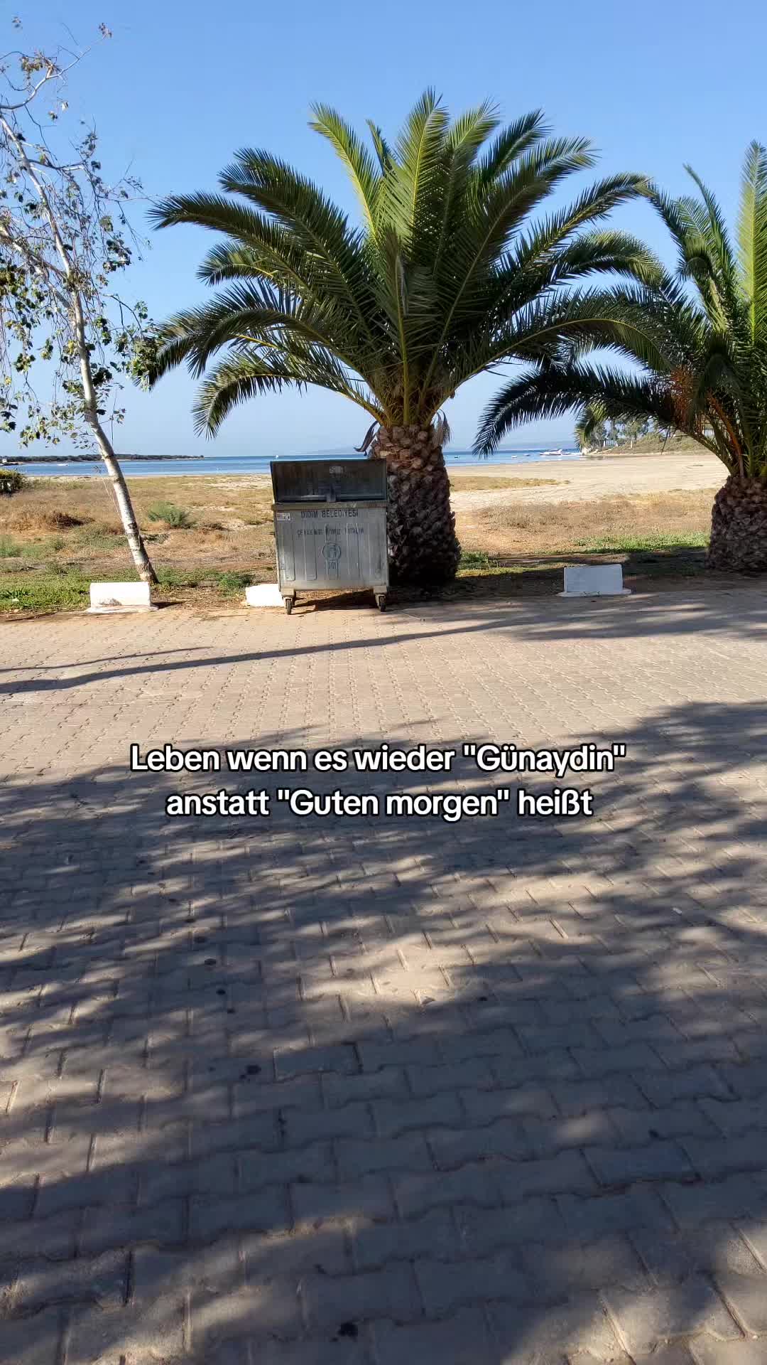 @Ma&ccedil;kali Deniz 🌊 ⁶&sup1; ﺦ