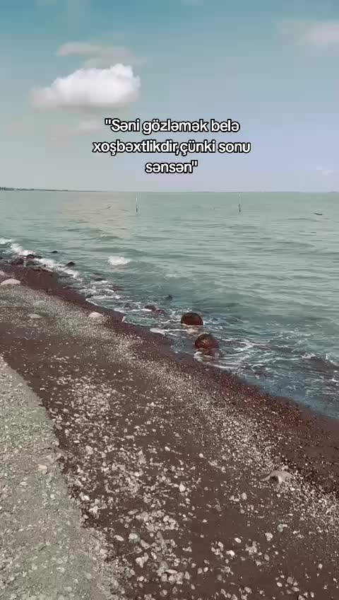 @Taliş