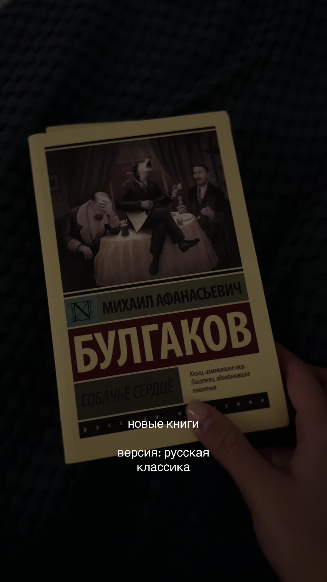 @amibooks