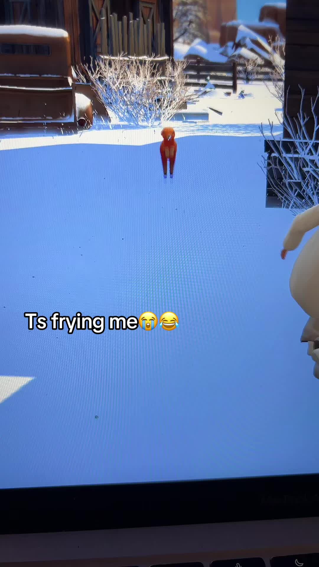 @SimsPlaySims