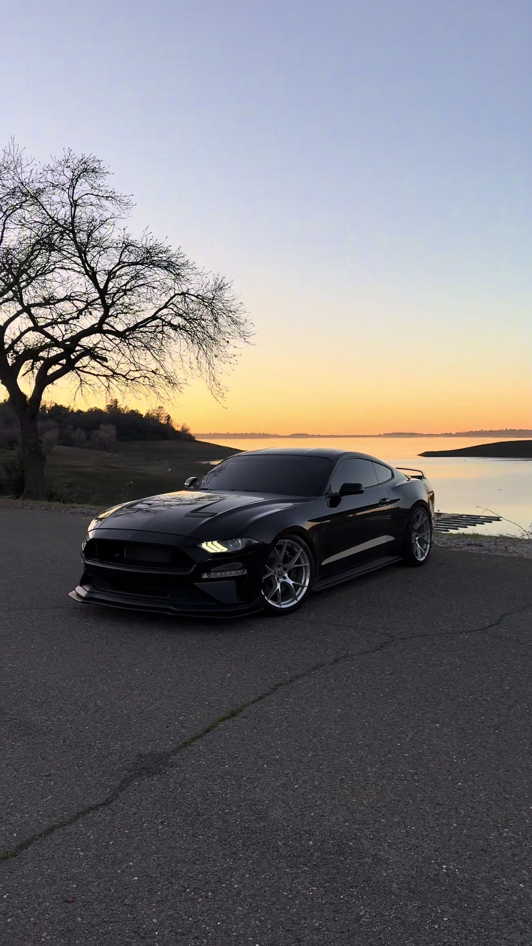 @Carlost