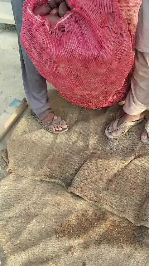@Pakistan Kisan T.V