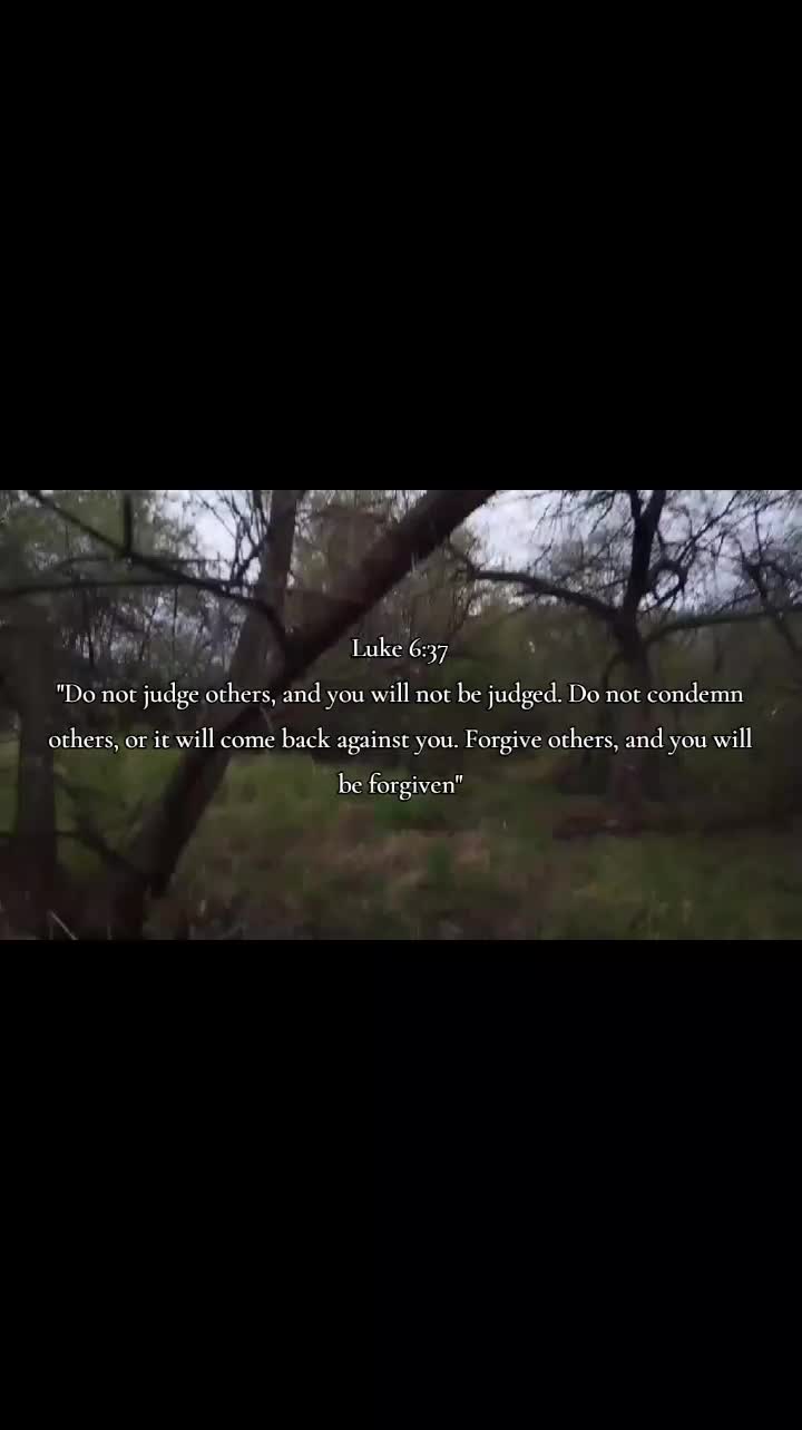 @xzw._.q✨✝️