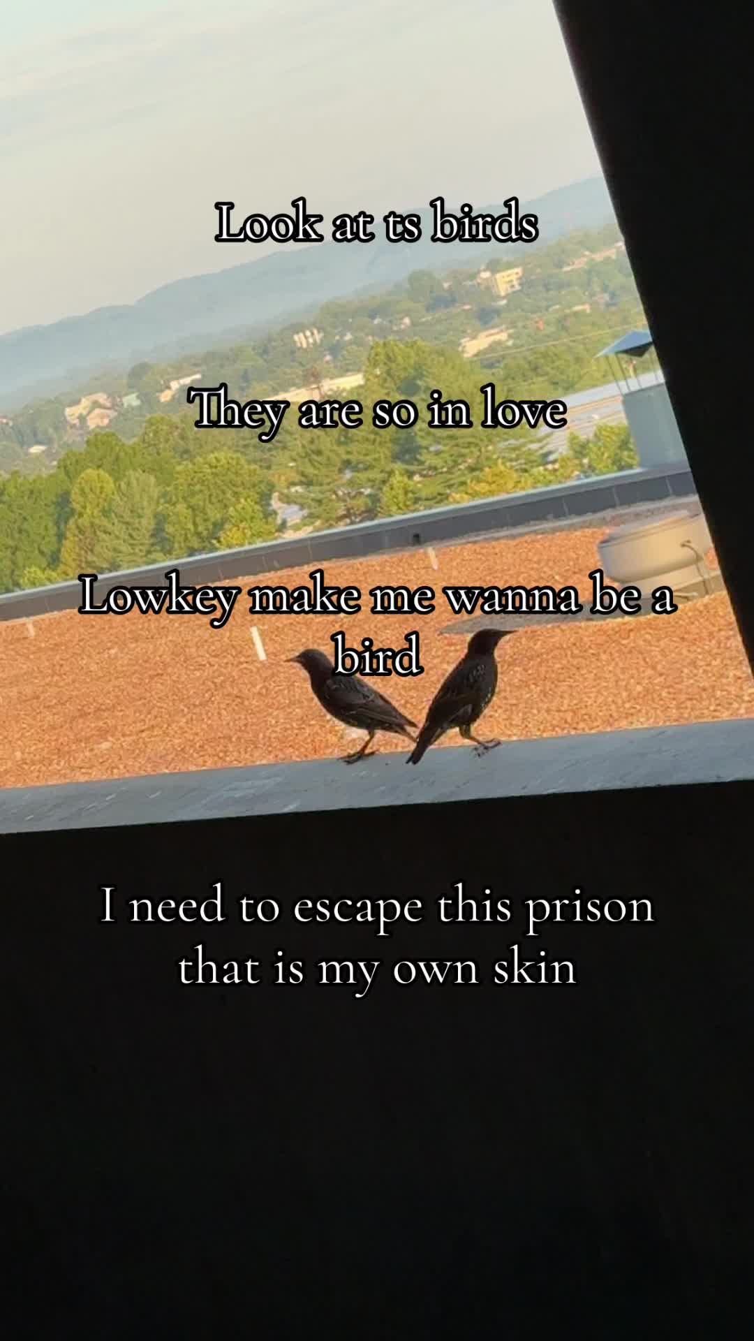 @Zan