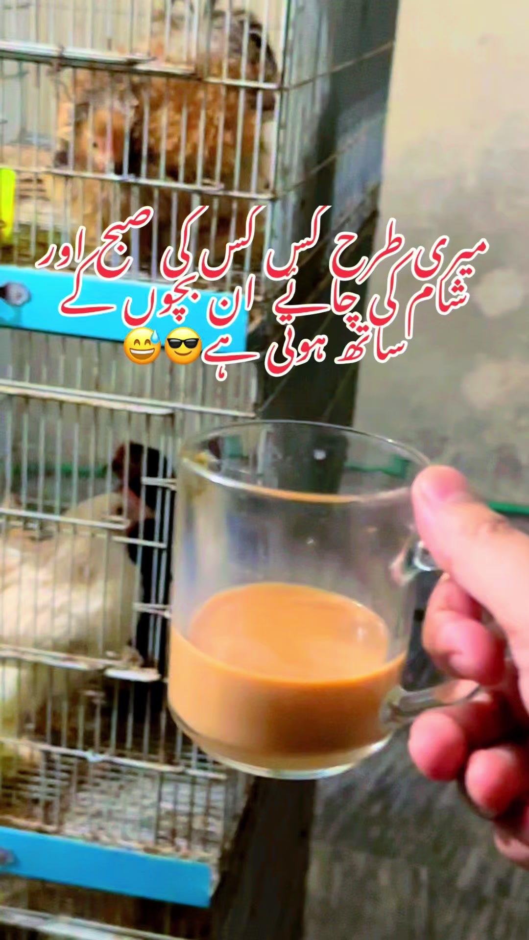 @Lahore Pets Lover