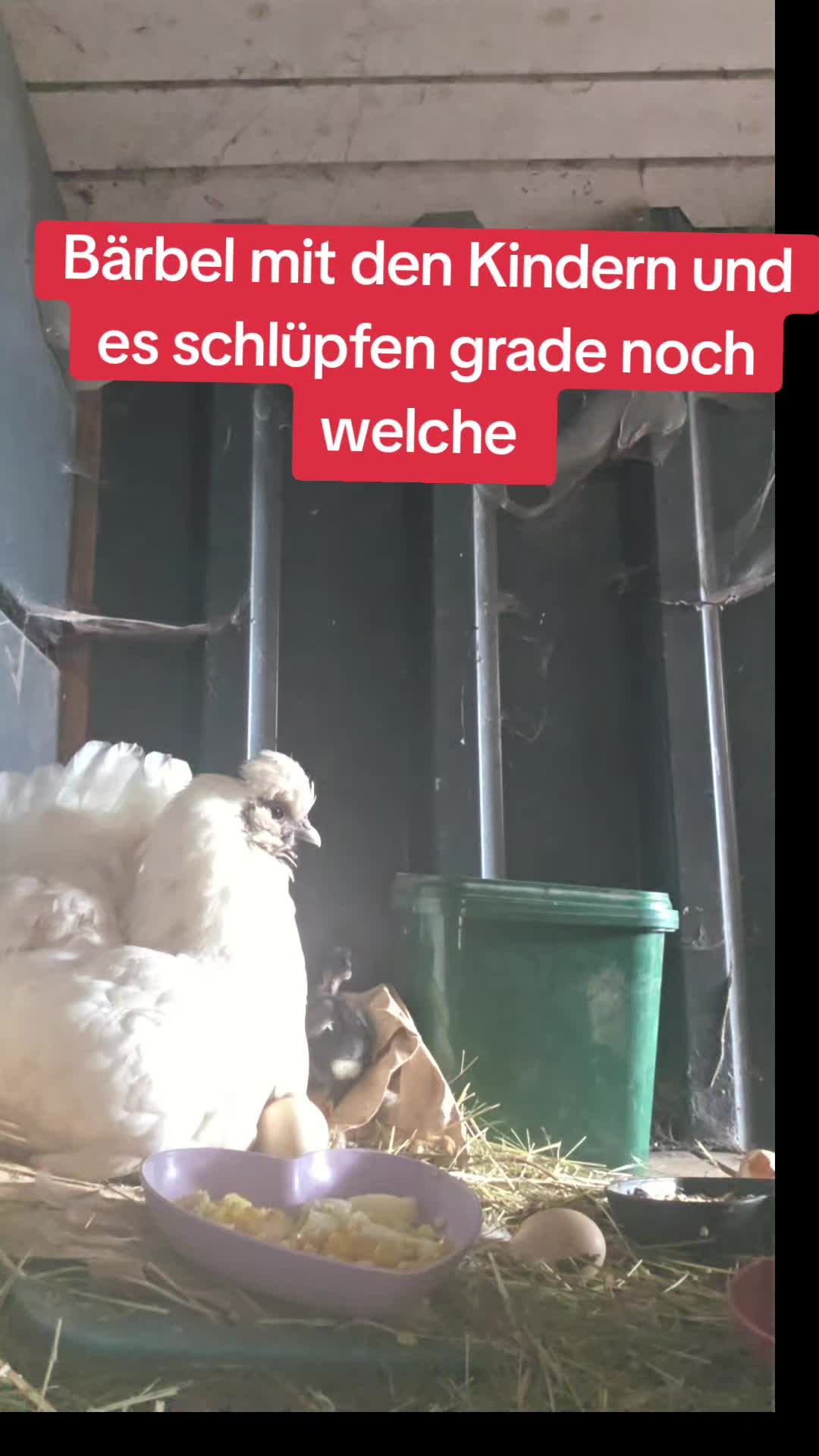 @Janine&Schatzi die echten