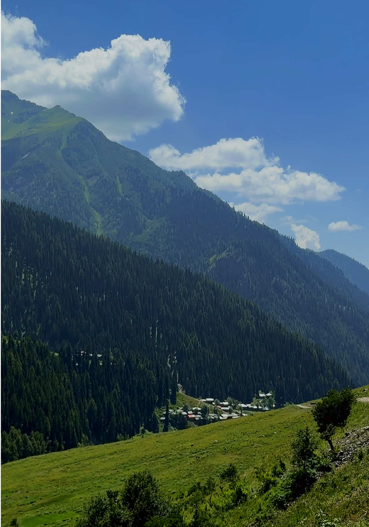 @travelwithbilal
