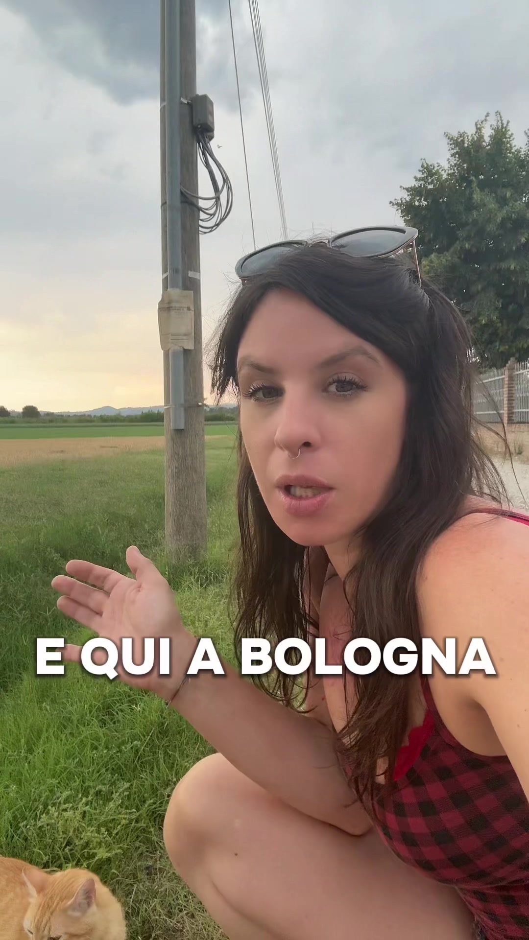 @Bitu