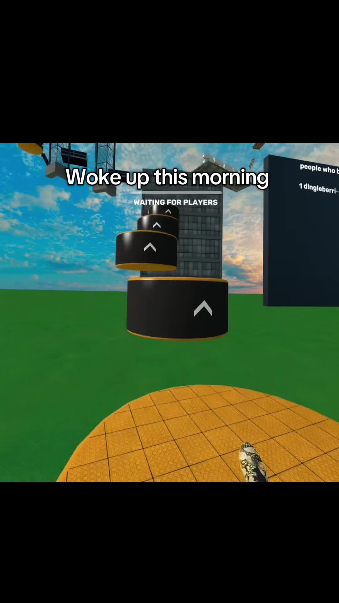 @dingleberrie_vrfs