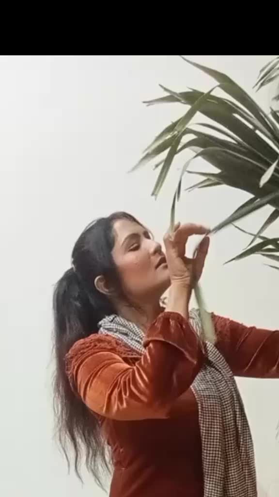 @Shakeel Shah