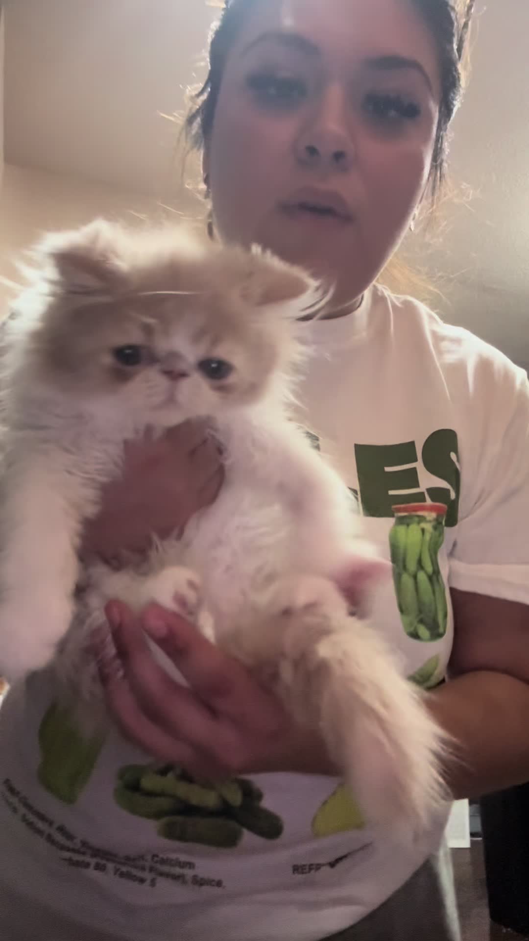 @henryetta.the.cat.lady