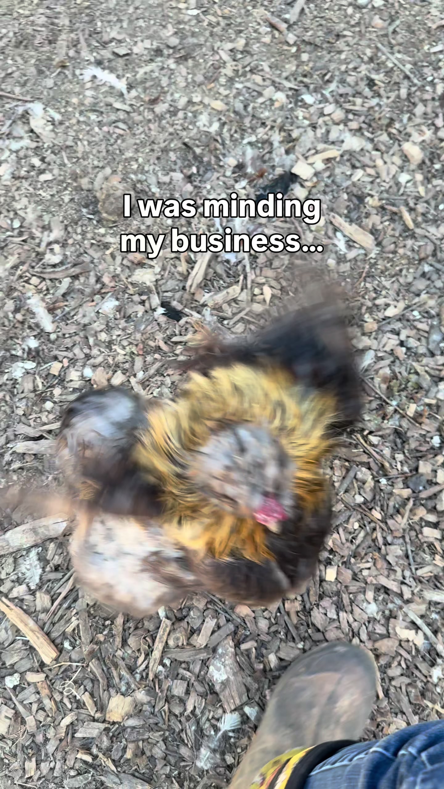 @The Real Estate Chick