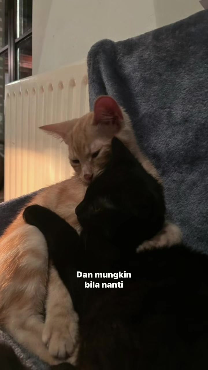 @^~^