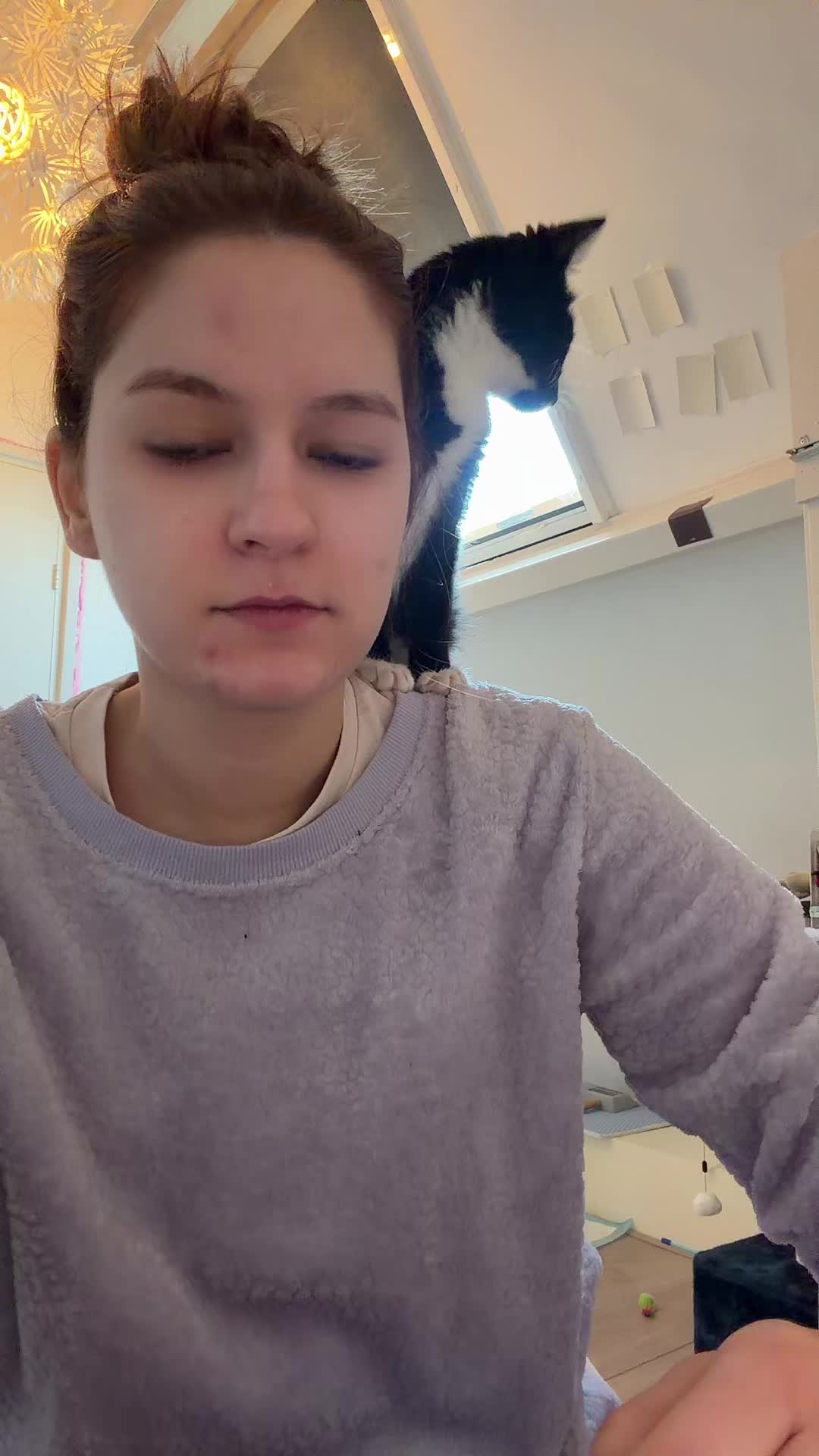 @alex.isabella_