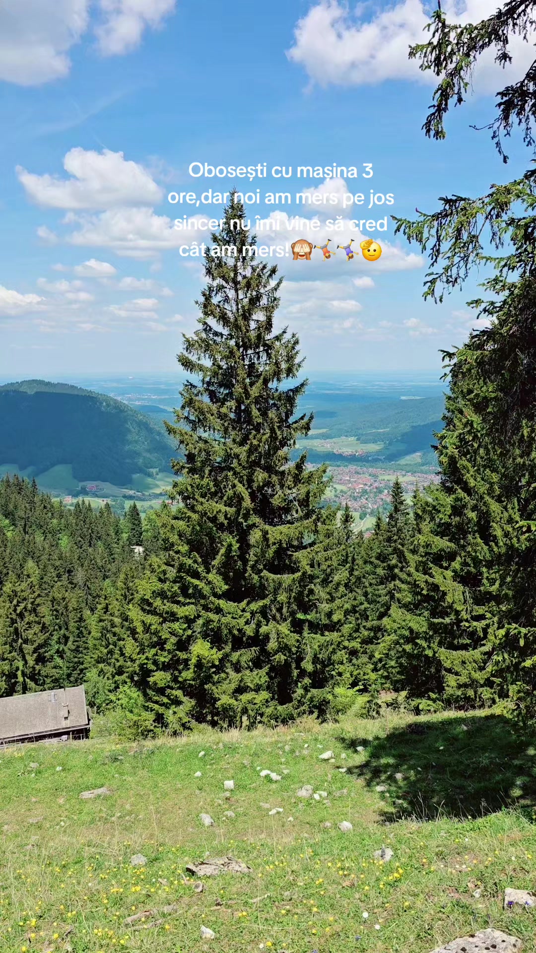 @rodi.rodriguez
