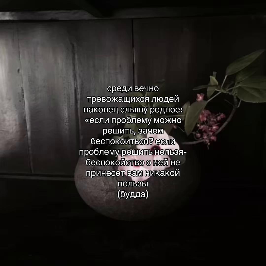 @mei[希望].🌪️
