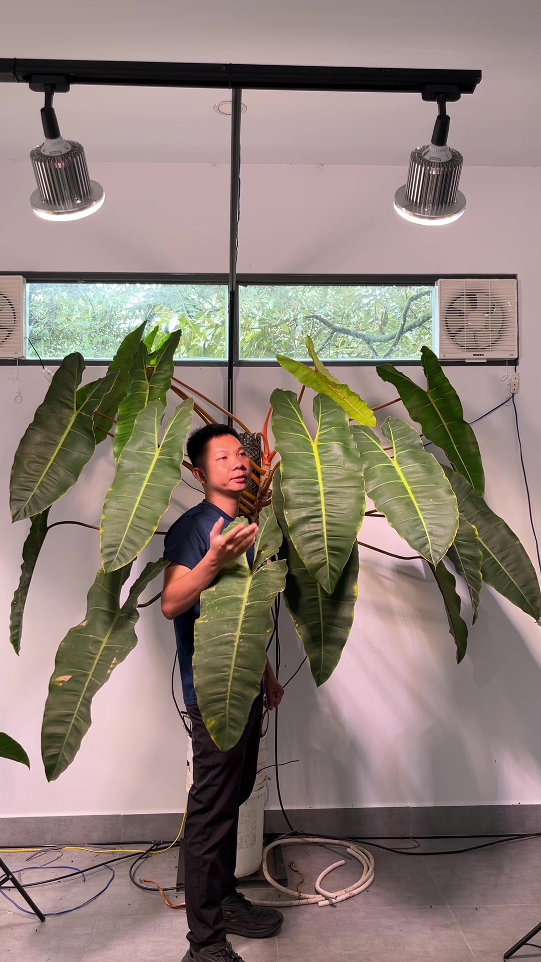@Huy Kiểng Lá