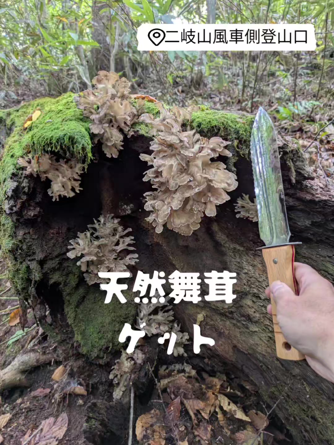 @若旦那