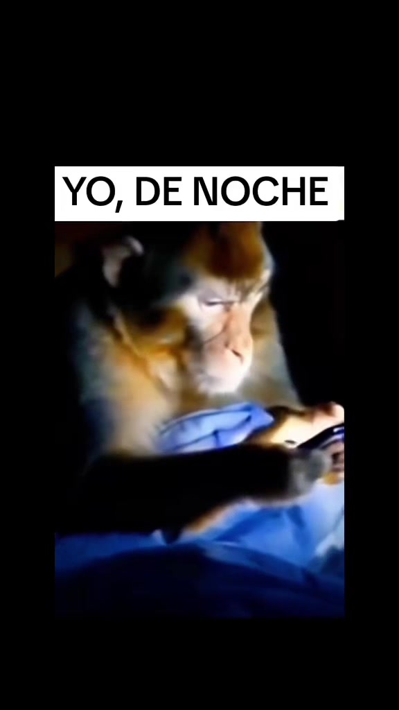 @💫Juan☄️