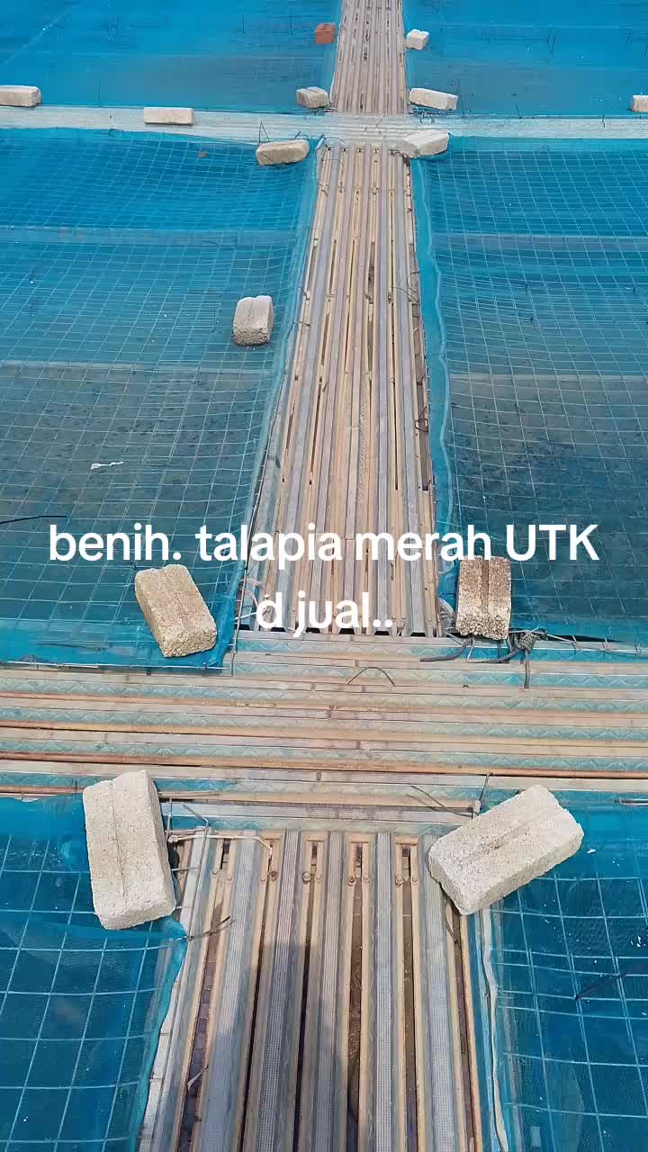@pakwan