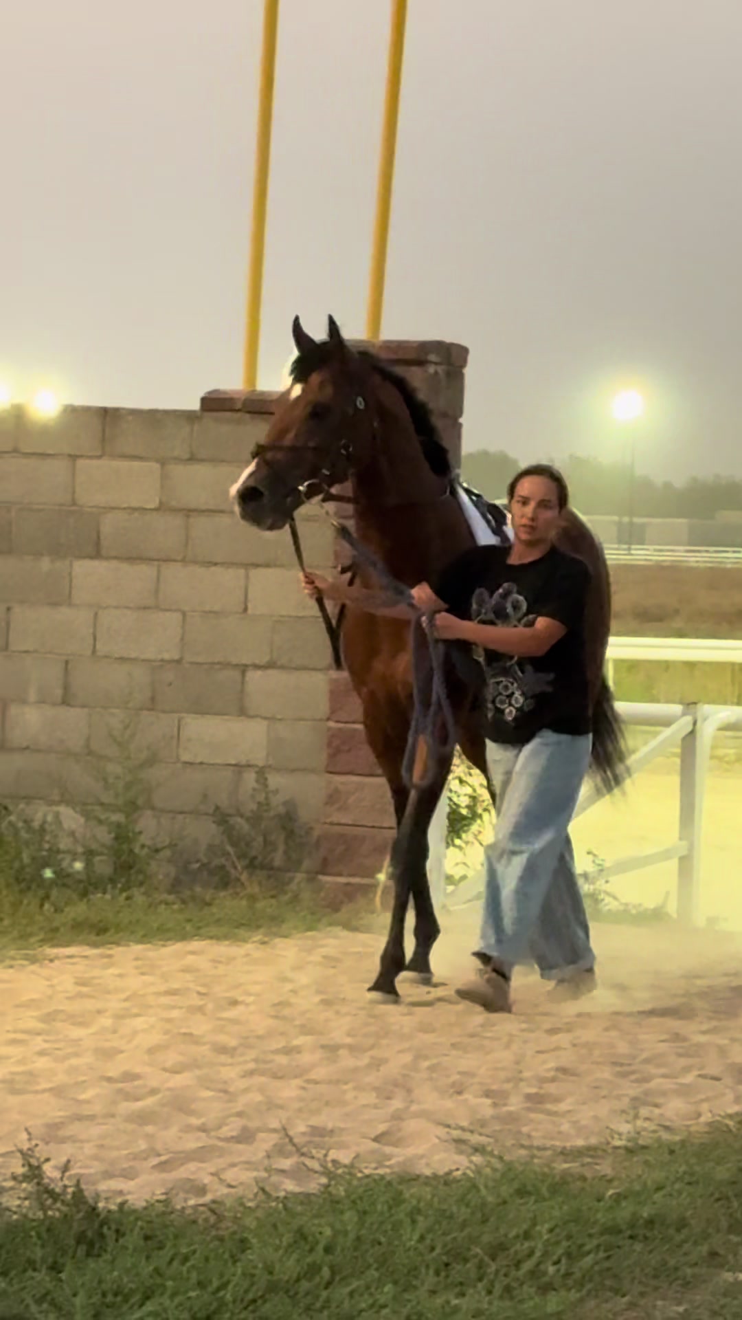 @🐎Ева🐎