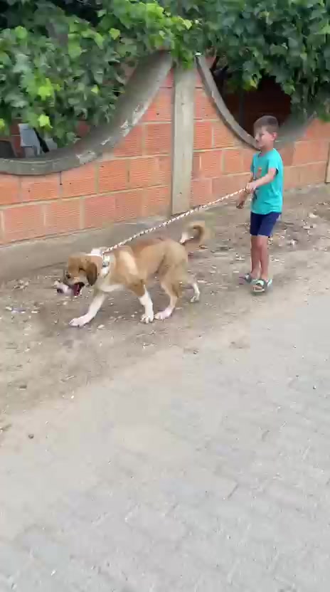 @CAMOKA.TR.KANGAL