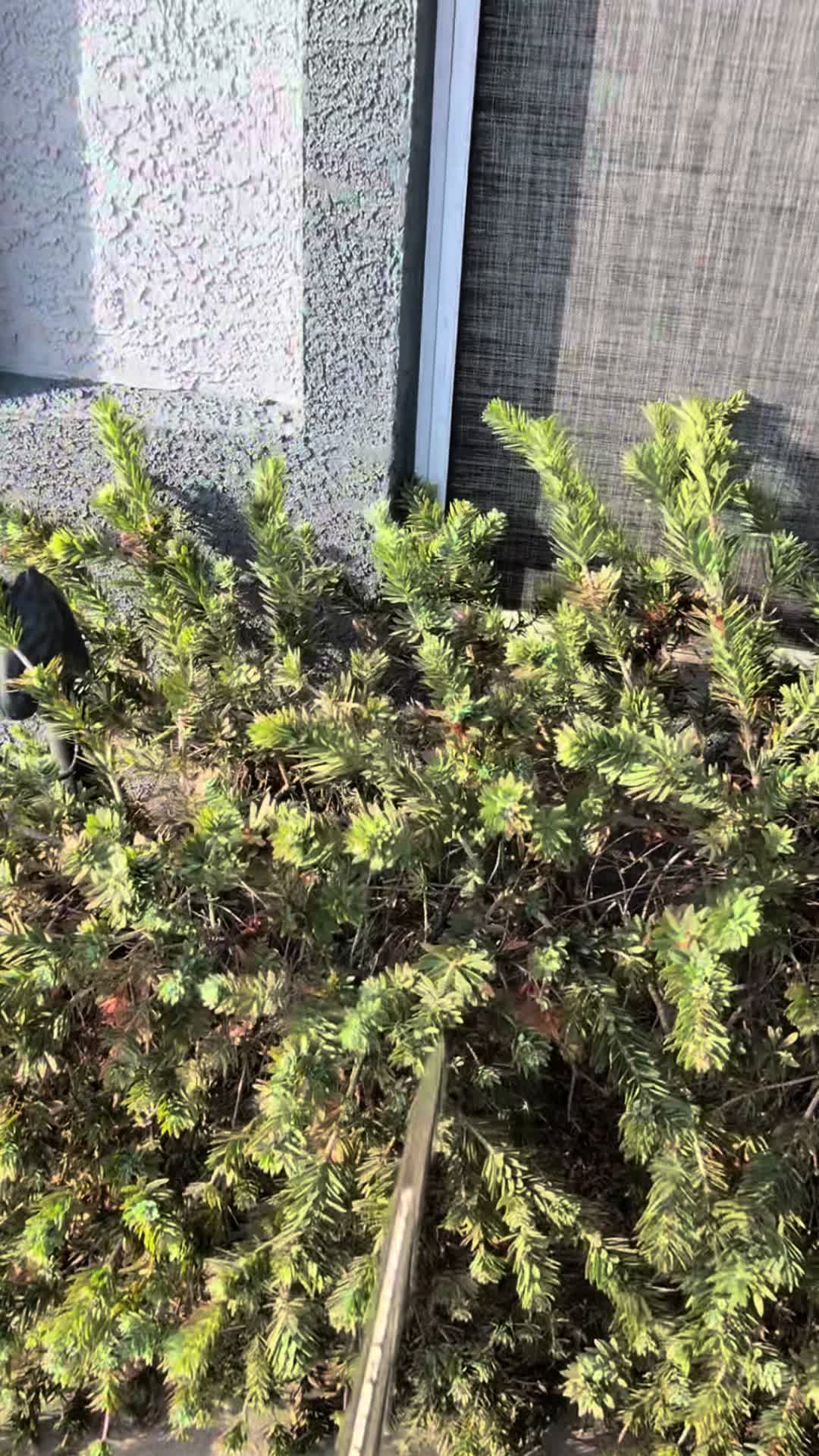 @landscaping