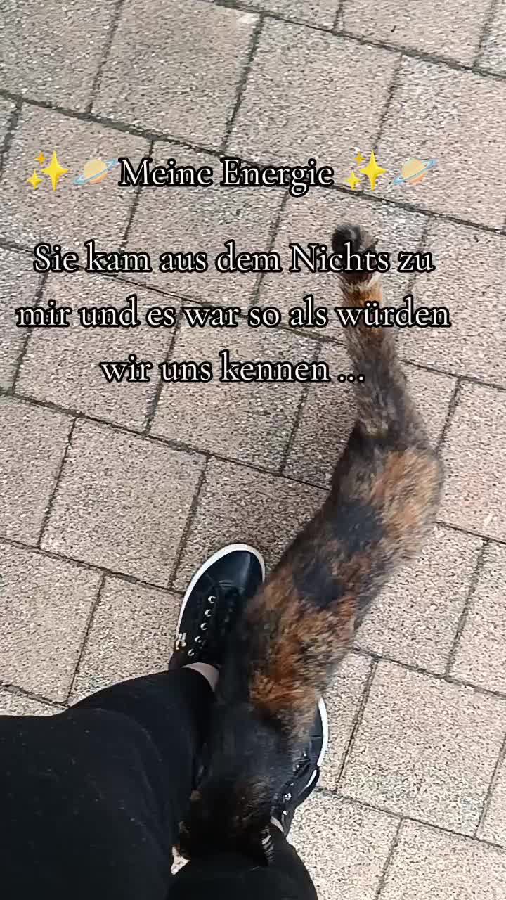 @•×WiNNiו