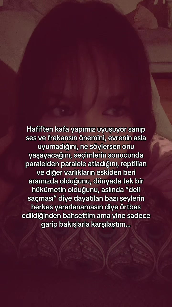 @beebea.