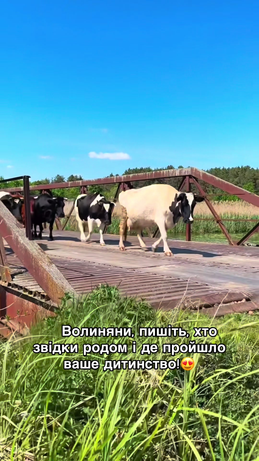 @Volynblog | Луцьк | Ковель