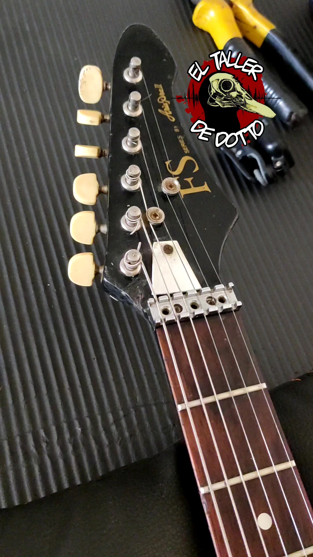 @eltallerdedotto