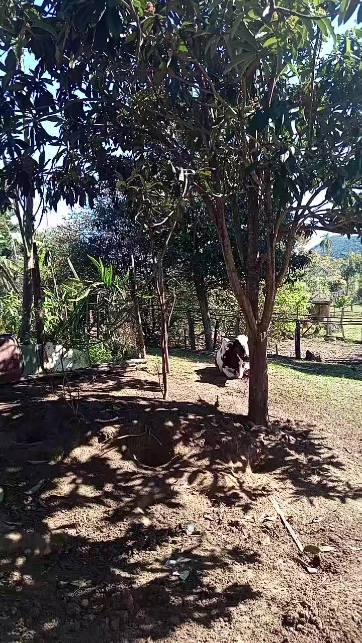 @Mariia Gabrieella