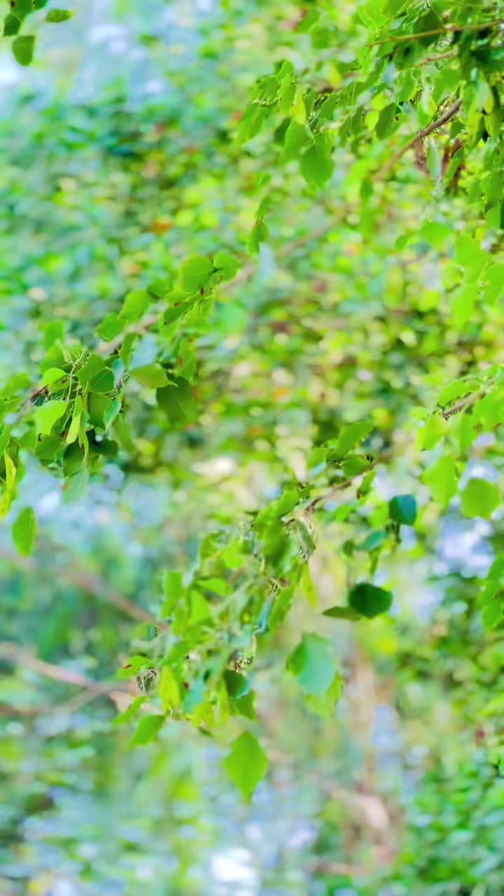 @ساحل خان❤️