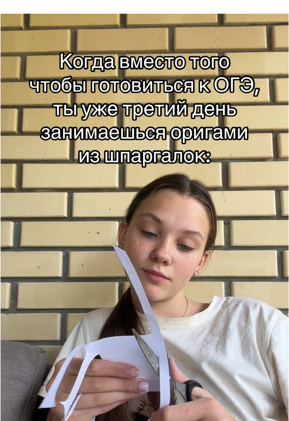 @ТГК: Вare4ka🦋